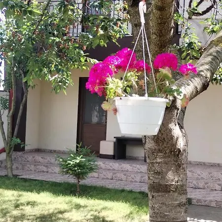 Apartamento Sandra&rebecut *