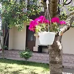Apartamento Sandra&rebecut *