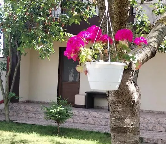 Daire Sandra&rebecut *